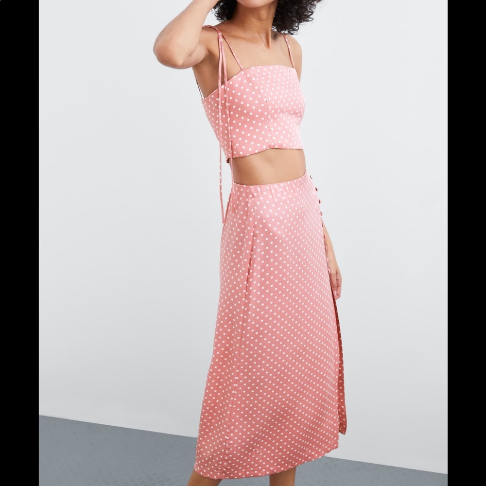 Zara pink polkadot crop top skirt set nwt XS
